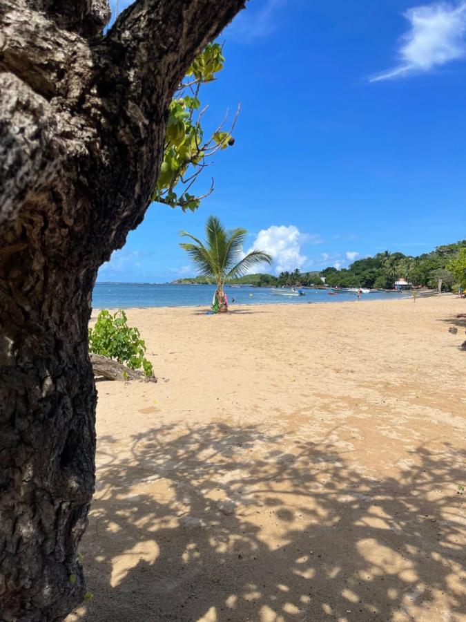 Appartement Vue Mer A 2 Minutes A Pied Des Plages Tartane Trinite  Esterno foto