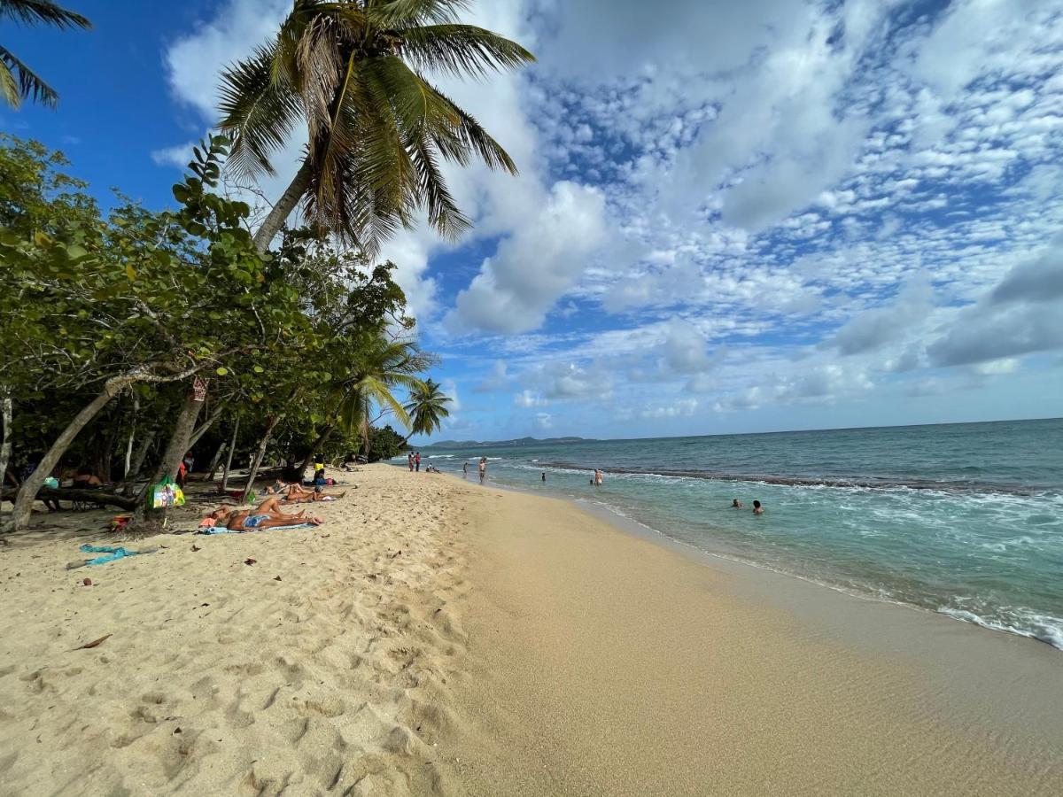 Appartement Vue Mer A 2 Minutes A Pied Des Plages Tartane Trinite  Esterno foto