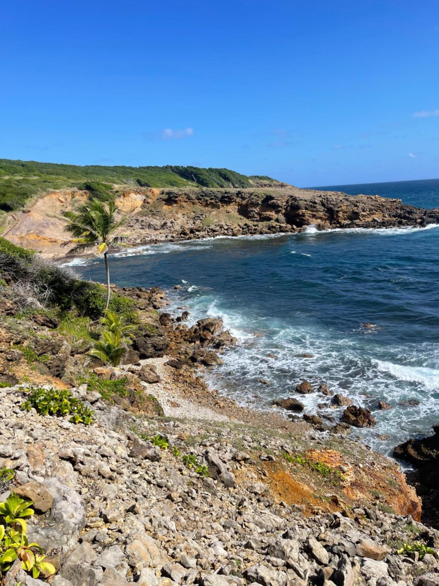 Appartement Vue Mer A 2 Minutes A Pied Des Plages Tartane Trinite  Esterno foto